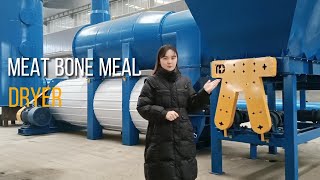 Continuous meat bone meal dryer, cost-effective