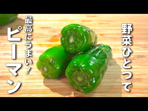 【ピーマンレシピ】野菜一つで最強おかず！おつまみにもおすすめ！