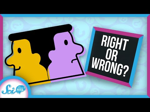 Why It's So Hard to Admit You're Wrong | Cognitive Dissonance