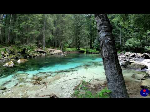 轻音乐-森林流水声，伴随鸟的叫声，快速入眠【大自然冥想，深度催眠】