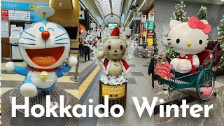 Hokkaido Doraemon Shop | New Chitose Airport | Sapporo Tanukikoji Shopping | 北海道哆啦A梦， 新千岁机场 | 札幌狸小路