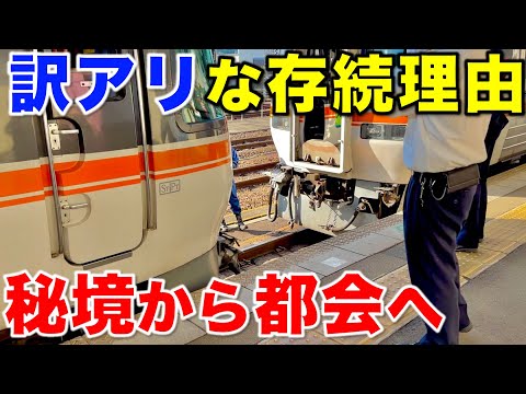 【急行列車の生き残り】新型車両導入で廃止の可能性!? JR東海で最も謎めいた特急列車に乗ってみた