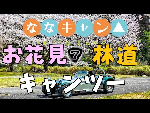 お花見したいだけなのに　何故か林道へ連れて行かれる　お花見キャンプ　#スーパーセブン