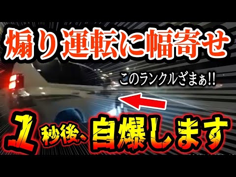 【ドラレコ】イキリ散らかして煽り運転に幅寄せした結果、このあと自爆して最高にスカッとする瞬間【ゆっくり解説】