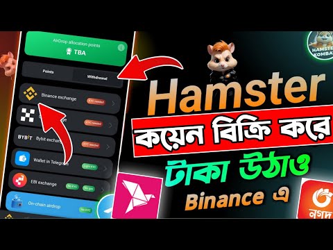 Hamster Kombat Withdraw Binance | $HMSTR Token Withdraw Binance | Hamster Kombat withdraw bkash