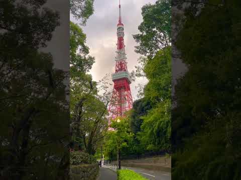 Tokyo Tower🗼 #shorts #shortsvideo #shortsfeed #short #japan #tokyotower