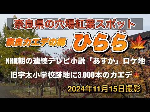 【奈良カエデの郷「ひらら」】NHK朝の連続テレビ小説「あすか」のロケ地　旧宇太小学校跡地を活用して世界のカエデ1200種3000本が鑑賞できます　#なら#かえで#小学校#宇陀市#写真 #スポット