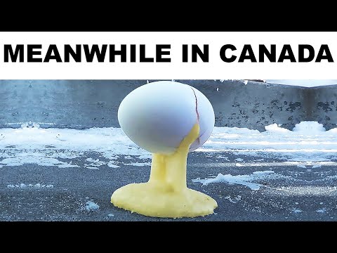 Memes About Canadians