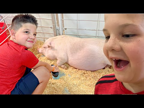 BEST PETTING ZOO! Caleb Learns to to Feed and Take Care of Farm Animals with Mom & Dad