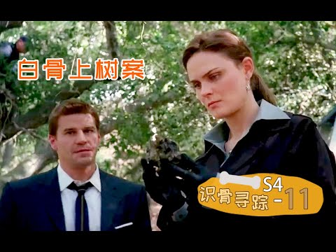 《识骨寻踪》S4-11 | 树上不一定只有果子，还可能是人骨头，速看《识骨寻踪》第四季第11集