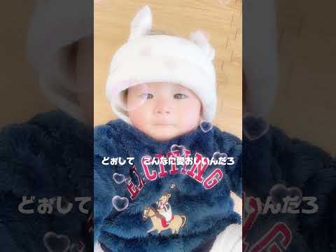 cute baby #shorts #shortvideo #赤ちゃん #baby #babyboy #かわいい #cute #cutebaby #まとめ