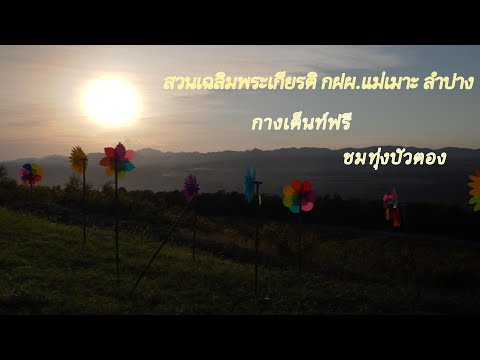 EP.11 สวนเฉลิมพระเกียรติ กฝผ แม่เมาะ ลำปาง/ทุ่งบัวตอง/Camping/Visionpeaks