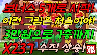 [슬롯][영상제보][닉네임 :장혁] ✪ 더 도그 하우스 메가웨이즈 THE DOG HOUSE MEGAWAYS ✪ 237배!