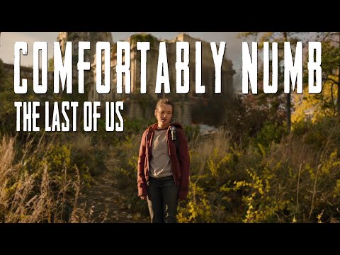 The Last Of Us || Comfortably Numb