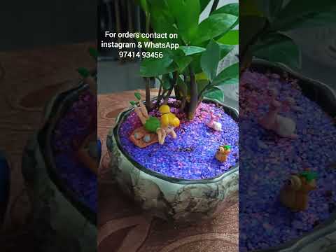 recent order/ indoor plants innovative decorations #shortsfeed #shorts#ytshorts#youtubeshorts#