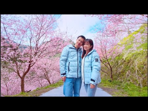 阿飛與小蝴蝶丨十一週年紀念MV丨李千娜feat.王大文 - 最愛的人丨Nsync - This I Promise You丨V(BTS) - Christmas Tree丨李心潔feat.光良 - 戀