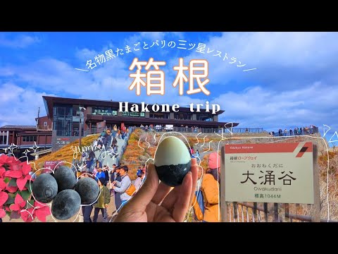 [Hakone Sightseeing] Enjoy a 2-day, 1-night trip to Hakone! Owakudani's black eggs and ropeway