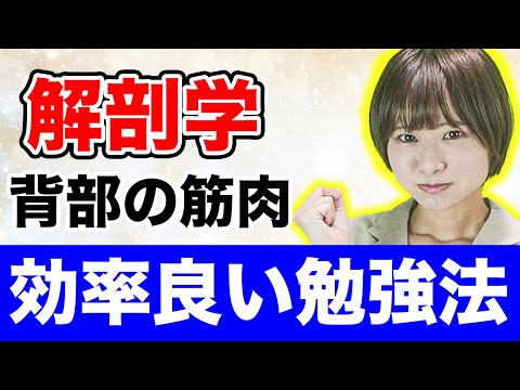 【解剖学】背中の筋肉を間違えずに覚える画期的方法!!(解剖学,筋肉,勉強法,医学部)