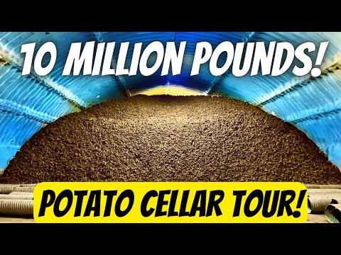 Potato cellar tour with 10 million pounds of potatoes!