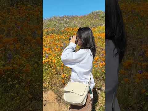 60 sec’ vlog丨Diamond Valley Lake 南加州野花盛開