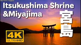 4K 宮島と厳島神社 ltsukushima Shrine Miyajima Hiroshima Trip Japan 広島 観光 旅行 宮島 安芸   観光名所 日本三景 大鳥居 瀬戸内海