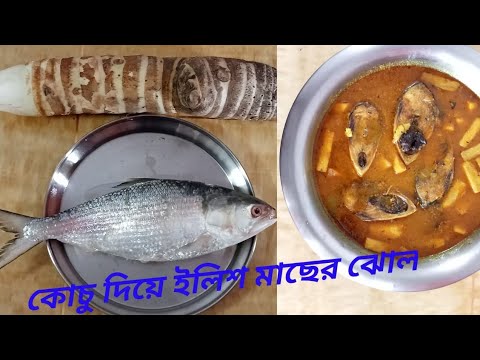 সোলা কচু দিয়ে ইলিশ মাছের ঝোল।      Sola Kocu Diye Elish Macher Jholl.