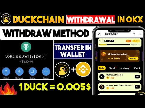 Duckchain Airdrop Snapshot Completed | Duckchain Claim Airdrop And Withdraw Process