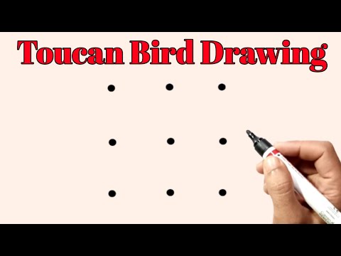 Toucan Bird Drawing Easy Step By Step | Toucan Bird Drawing Step By Step For Beginners