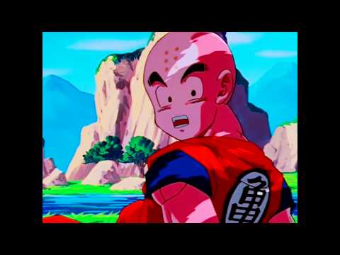 TFS: Goku and Chi Chi Moments