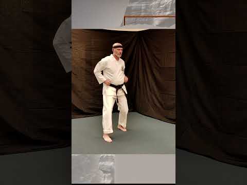 Pinan #2   A Dojo Drill of Dale Jenkins Lineage #karate #pinan #dalejenkins