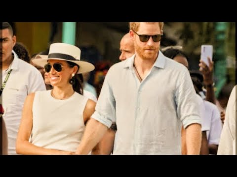 Embracing  Meghan and Harry's Individual Passions and Dismissing Baseless Rumors of Strain"