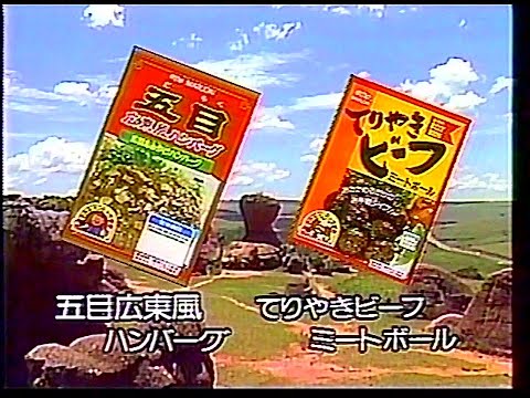 CM　丸大食品　五目広東風ハンバーグ／てりやきビーフミートボール　1989年