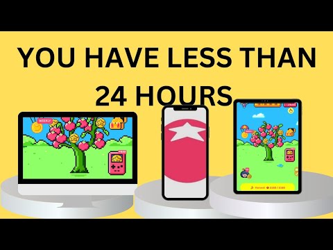 TOMARKET : YOU HAVE LESS THAN 24 HOURS