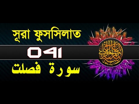 Surah fussilat/Ha Mim As Sajdah with bangla translation - recited by mishari al afasy