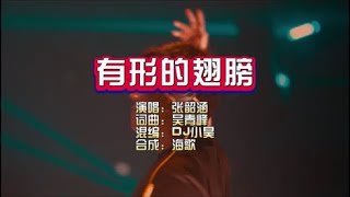 张韶涵《有形的翅膀》DJ小昊版 KTV 导唱字幕 （备有伴奏视频）