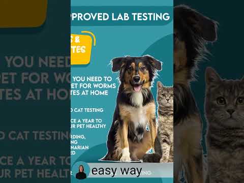 Pet POOP Testing= Easy at home