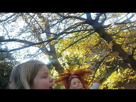 Autumn Leaves with Alice