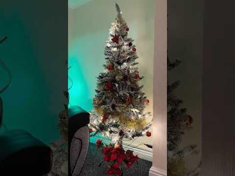 Christmas Tree Reveal Night | #christmasdecor #christmas2024 #festivedecor