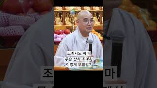 조계종은 왜 조계종이라고 하는 걸까? #shorts