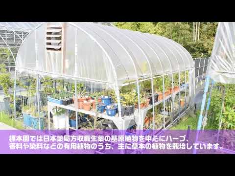 薬用植物園