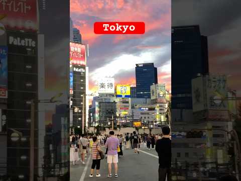 Shinjuku Walking Tour || #japan #walkthrough #shinjuku #tokyo #shortvideo #shorts