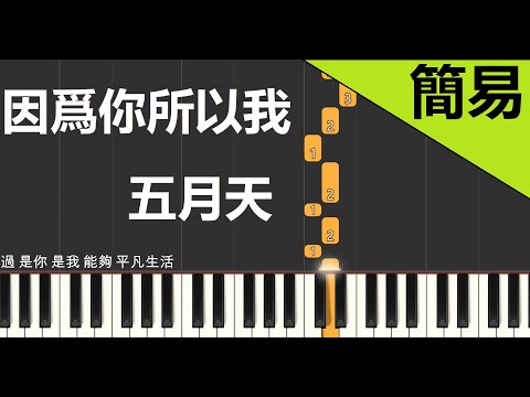 五月天 因爲你所以我 鋼琴教學 簡易單手版