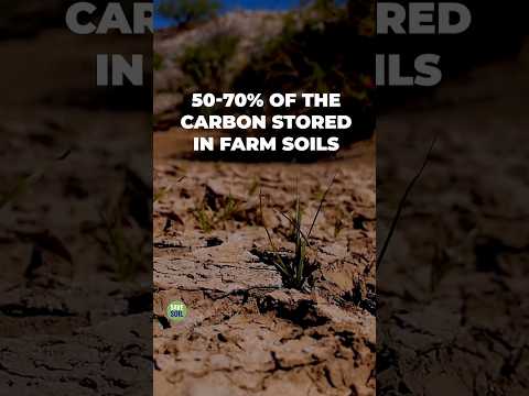 Current Agricultural Practices Kill Soil and Release CO2