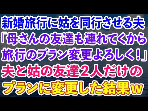 【スカッとする話】新婚旅行に義母を同行させる夫「母さんの友達も連れてくから旅行プラン変更よろしく！」夫と義母の友達2人だけのプランに変更した結果w【感動する話】