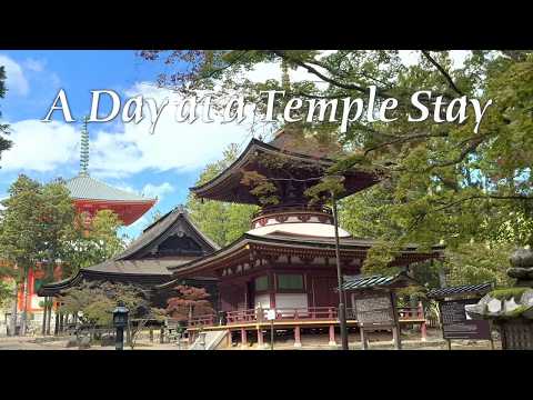 All About Shukubo: What to Expect at a Japanese Temple Stay - LIVE JAPAN