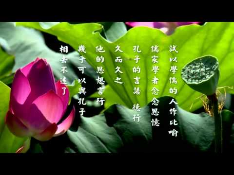 弘化网精华短片 - ⑯竹窗随笔 (高清有字幕)