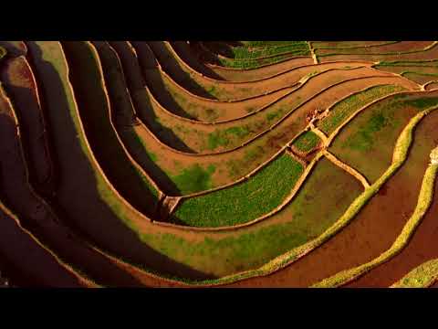 Breathtaking Rice Terrace Fields! Vietnam - The Mù Cang Chải