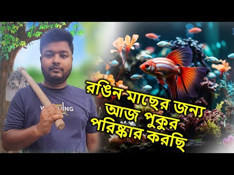 রঙিন মাছের জন্য আজ পুকুর পরিষ্কার করেছি | Mahid Mini Zoo