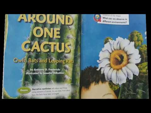 Around One Catcus - Grade 3 - Reading Street - The Stepping Stone Kids