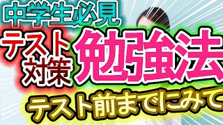 【保存版】中学生の点数を簡単に上げる定期テスト対策法！！テスト前までに見てください【テスト対策・受験対策】